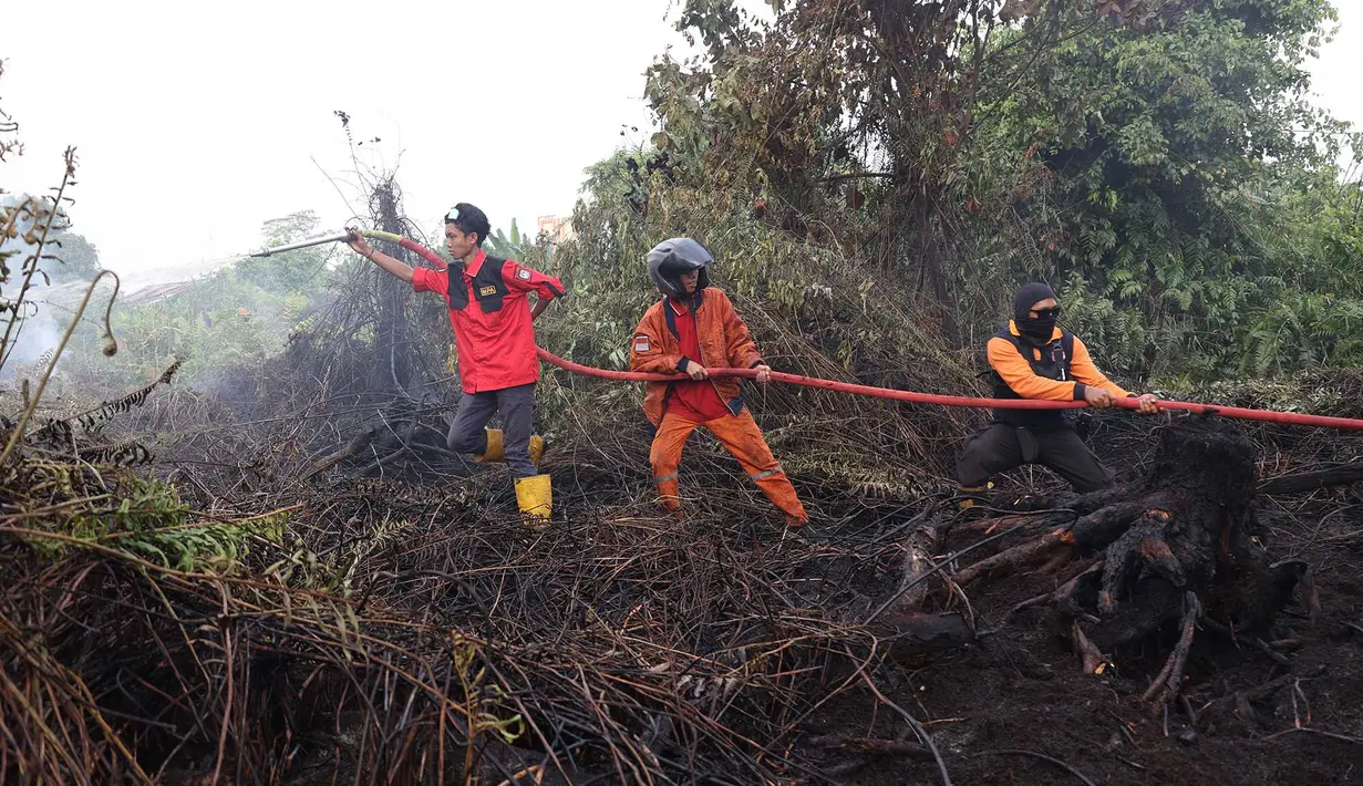 Petugas pemadam kebakaran menyemprotkan air untuk memadamkan api yang melalap lahan gambut di Kubu Raya, Kalimantan Barat, Indonesia, Selasa, 11 Agustus 2026. (Foto AP/Stefanus Taman)