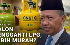 Calon Pengganti LPG, Lebih Murah?