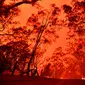 Langit sore bersinar kemerahan akibat kebakaran hutan di daerah sekitar kota Nowra, negara bagian New South Wales, Australia, Selasa (31/12/2019). Akibat kebakaran ini, ribuan wisatawan dan penduduk lokal mengungsi ke wilayah pantai di Australia tenggara. (AFP/Saeed Khan)