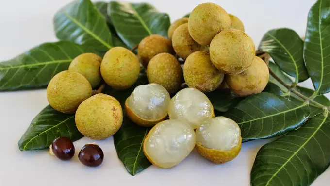 3 Khasiat Biji Kelengkeng Buat Kesehatan yang Belum Kamu Tahu