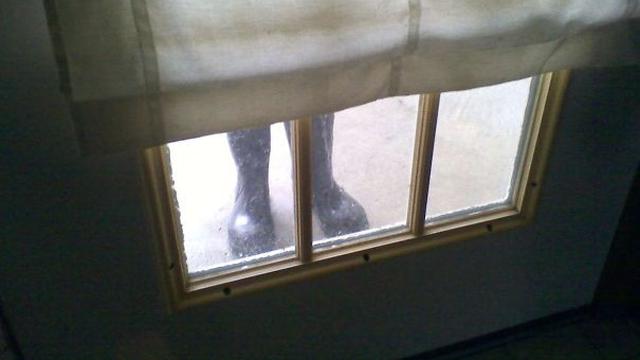 ilusi optik (foto: boredpanda)