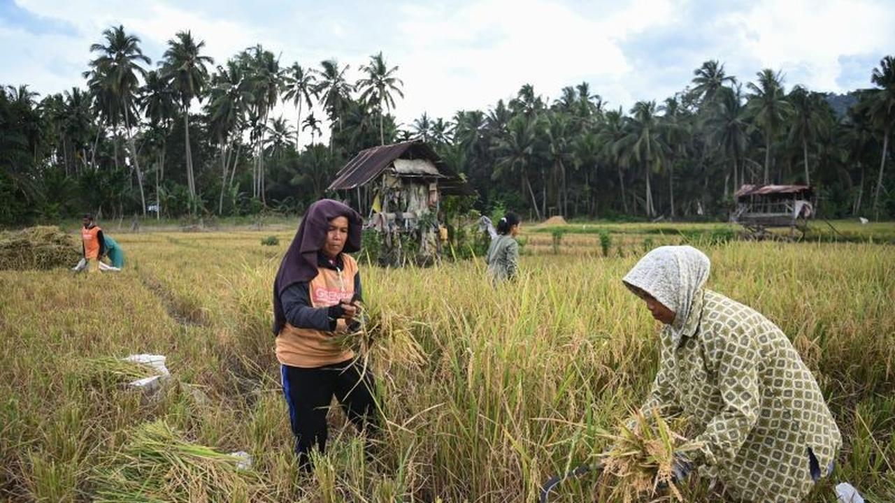 Ekonom Ingatkan IJK Jaga Kualitas Restrukturisasi Kredit Korban Bencana di Sumatera