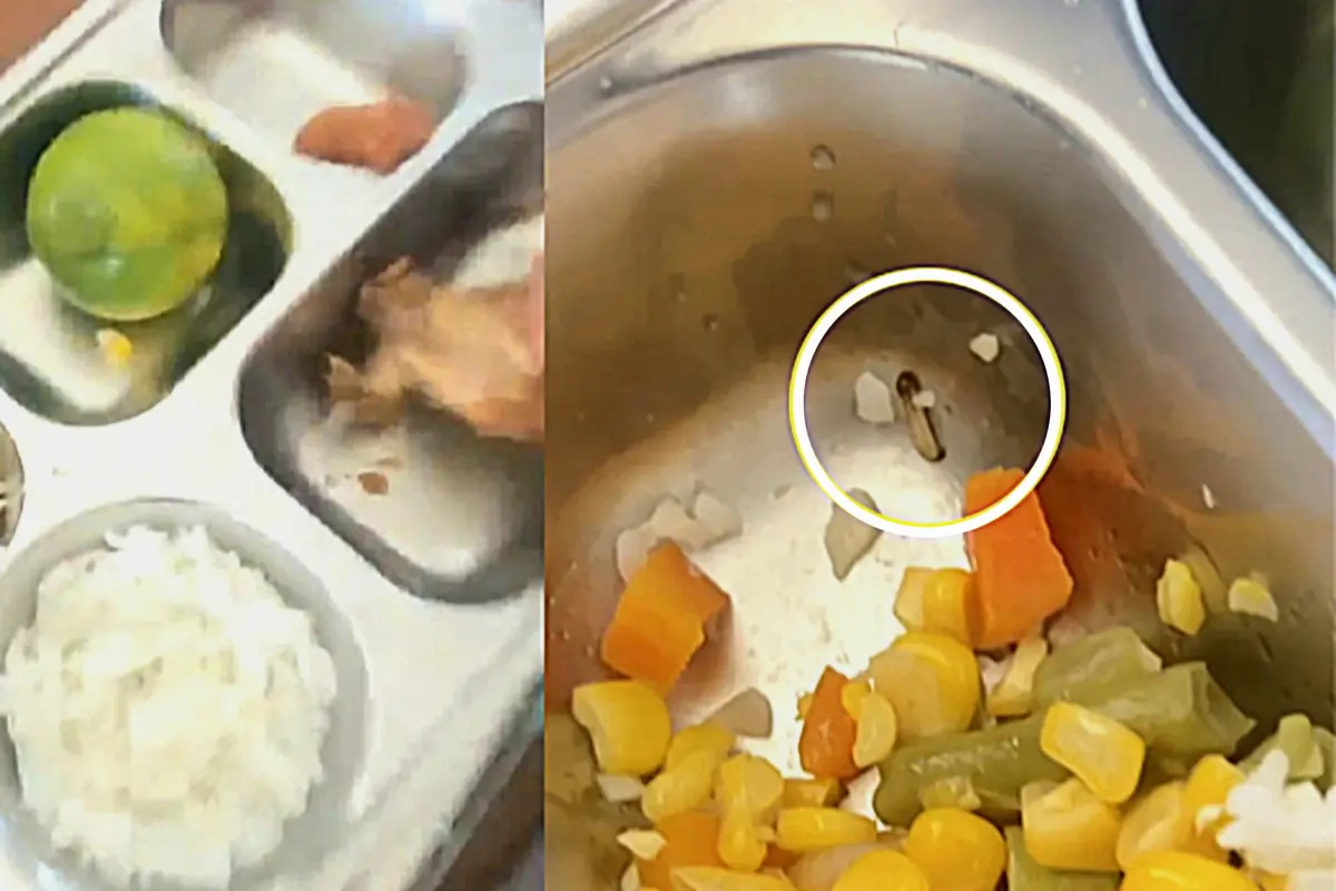 Video pendek viral di media sosial kembali menunjukan temuan belatung di dalam menu Makan Bergizi Gratis (MBG) yang terjadi di Sulawesi Selatan.