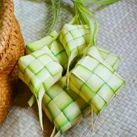 ilustrasi janur ketupat/copyright by Yunus Malik (Shutterstok)