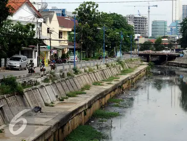 Kondisi aliran sungai yang melintasi kawasan Raden Saleh, Jakarta, Selasa (16/2/2016). Kondisi air terlihat kotor dan berbau serta terlihat banyak tumpukan sampah. (Liputan6.com/Helmi Fithriansyah)