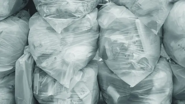 Potensi Larva Lalat Prajurit Hitam Bantu Uraikan Masalah Sampah Popok Sekali Pakai