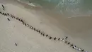 Orang-orang membuat garis di sepanjang pantai Copacabana pada Hari Laut Sedunia di Rio de Janeiro, Brasil, Rabu (8/9/2022). Organisasi Route Brasil menyerukan agar orang-orang berkumpul untuk acara yang diberi nama "Pelukan Itu," dan untuk memungut sampah di pantai, untuk menarik perhatian pada pencemaran laut. (AP Photo/Silvia Izquierdo)
