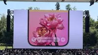 Apple Rilis iOS 26.5 Public Beta, Ini Fitur Baru yang Wajib Dicoba