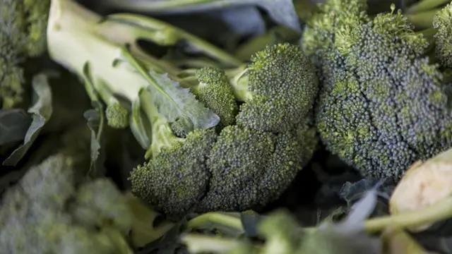 Gambar Ilustrasi Sayur Brokoli