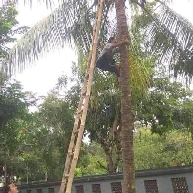 6 Potret Tangga Tukang Dirakit Ini Nyeleneh, Bikin Enggak Berani Naik