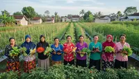 8 Ide Kebun Sayur Tumpangsari Tradisional untuk Organisasi Ibu-ibu di Desa