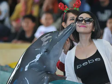 Lumba-lumba mencium seorang wanita saat atraksi Dolphin Christmas Show di Ocean Dream Samudera Ancol, Jakarta, Jumat (25/15). Pertunjukkan tersebut diadakan dalam rangka menyambut libur natal. (Liputan6.com/Gempur M Surya)