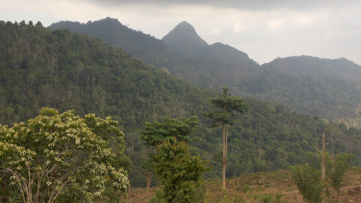 Misteri Gunung Doro Dindi: Pendakian Sehari Menuju Puncak yang Jarang Terjamah