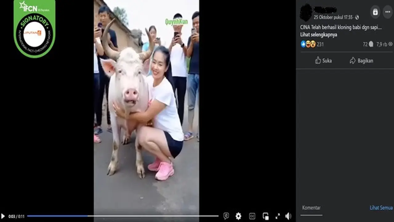 Gambar tangkapan layar video yang diklaim penampakan hewan hasil kloning babi dengan sapi di China. (sumber: Facebook)