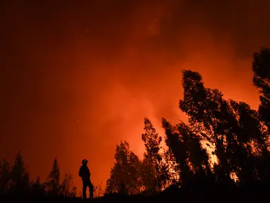 Seorang petugas pemadam kebakaran memantau kebakaran di Amendoa di Macao, Portugal tengah (21/7/2019). Lebih dari seribu petugas pemadam kebakaran berjuang untuk memadamkan kebakaran hutan tersebut. (AFP Photo/Patricia De Melo Moreira)