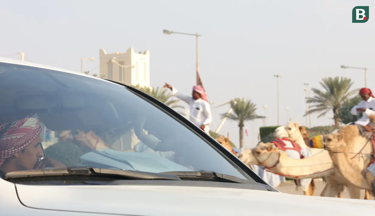 Para Qatari pemilik unta terlihat memantau peliharaan mereka dari dalam mobil. Sementara unta ditangani oleh joki yang mayoritas berasal dari India atau Pakistan. (Bola.com/Ade Yusuf Satria)