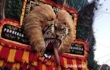 Kandidat Kuat Warisan Budaya Tak Benda UNESCO, Ini Sejarah Reog Ponorogo Kesenian yang Berusia 200 Tahun Lebih