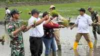 Pemerintah Optimistis Program Cetak Sawah Mampu Penuhi Kebutuhan Beras Nasional
