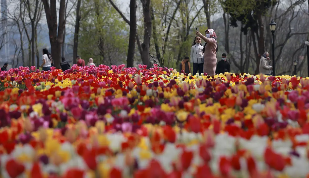 Orang-orang mengambil foto di ladang bunga tulip yang sedang mekar di Taman Emirgan di Istanbul, sehari sebelum lockdown penuh, Rabu (28/4/2021). Turki akan memberlakukan lockdown penuh selama tiga minggu dari 29 April hingga 17 Mei 2021 untuk membendung penyebaran COVID-19. (AP Photo/Emrah Gurel)