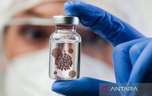 Kemlu RI Intensif Pantau Kasus Virus Nipah di India, Pastikan WNI Aman