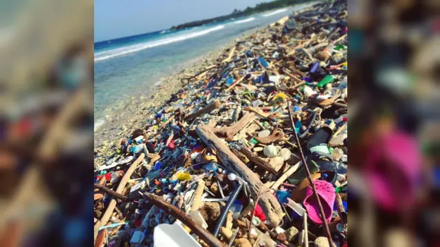 Liina Klaus memiliki ide brilian dalam menanggulangi sampah di pantai Bali, utamanya sampah sandal jepit.