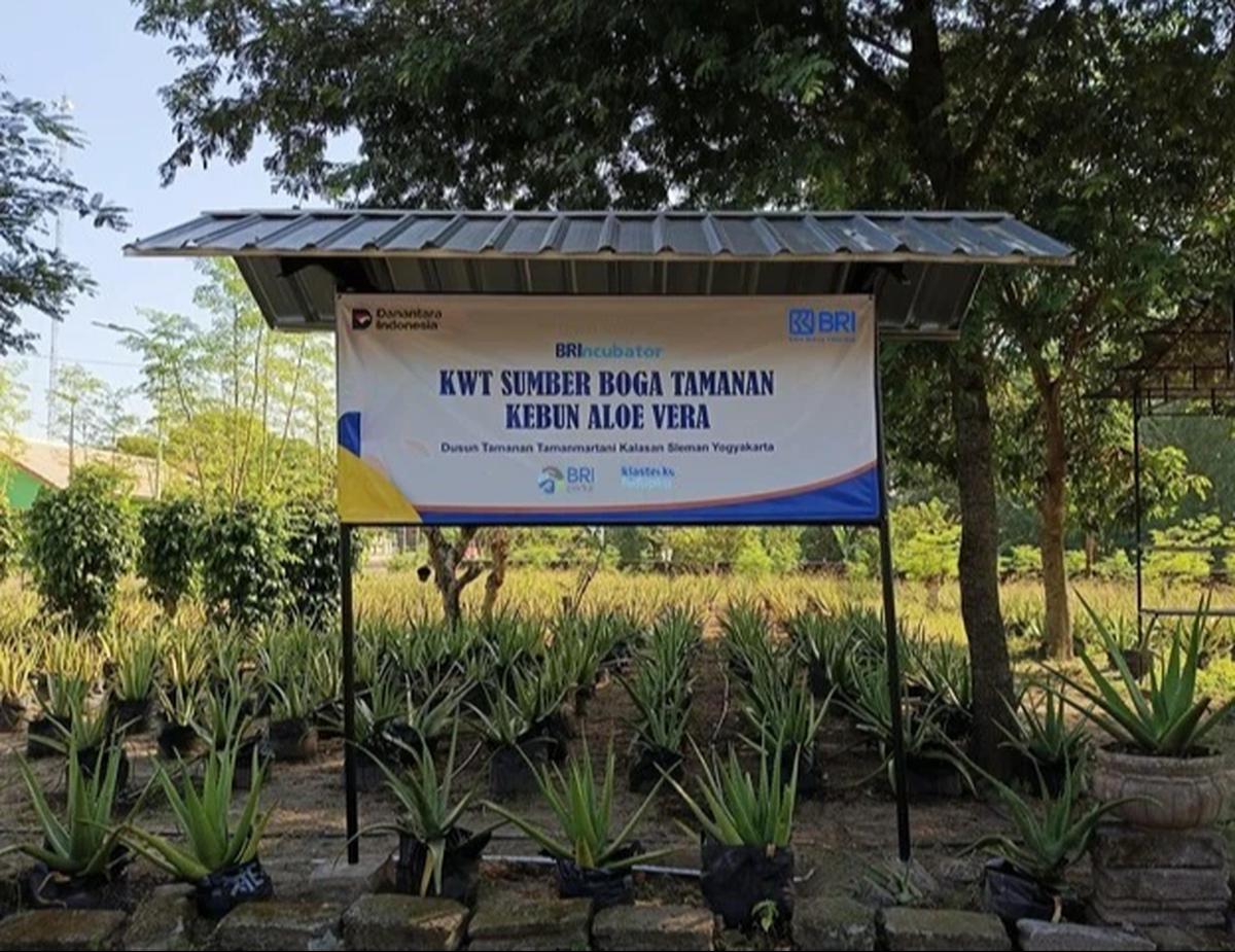 Kelompok Wanita Tani (KWT) Sumber Boga Tamanan di Kelurahan Tamanmartani, Kecamatan Kalasan, Kabupaten Sleman