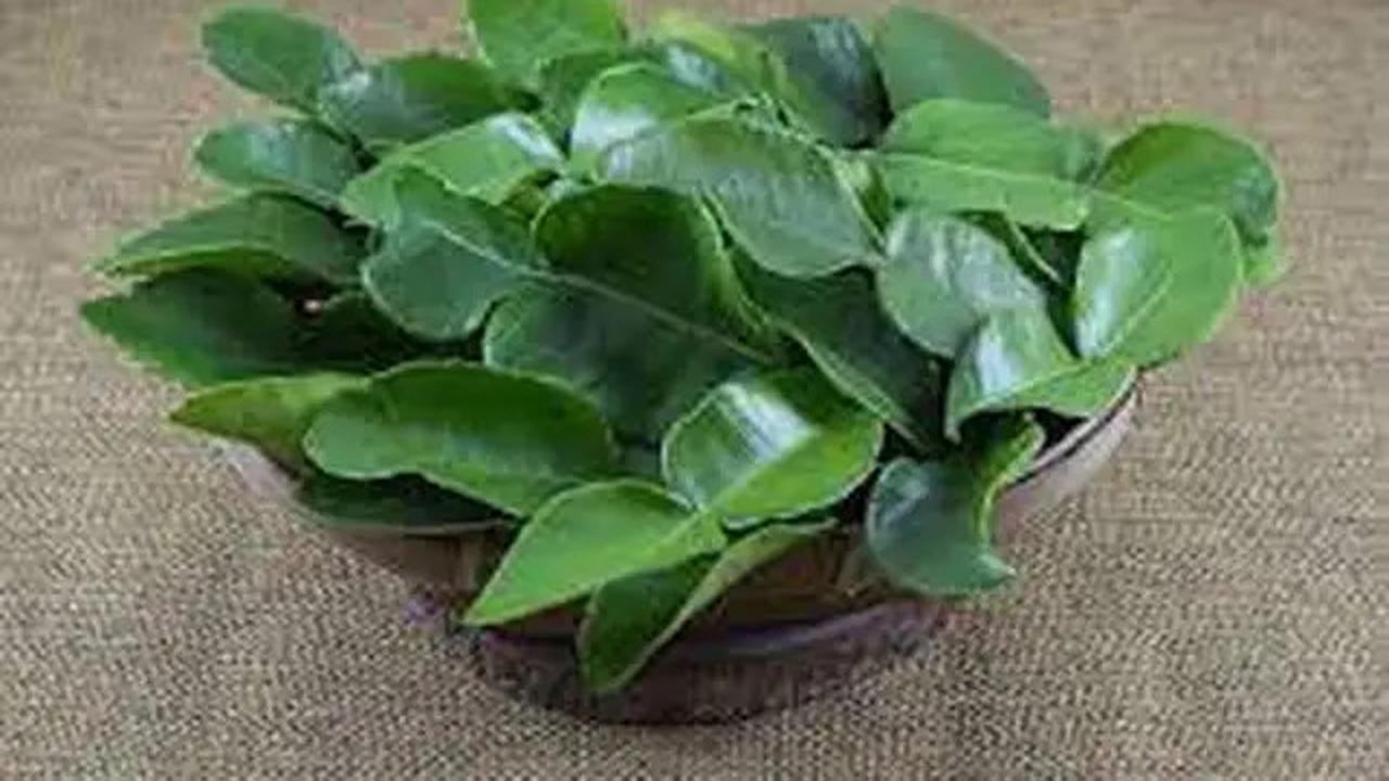 Cara Menyeduh 8 Daun yang Punya Manfaat Turunkan Kolesterol dan Asam Urat