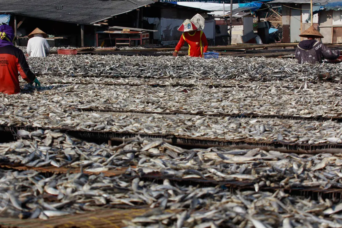 20160801-Cuaca Tak Menentu, Produksi Ikan Asin Terhambat