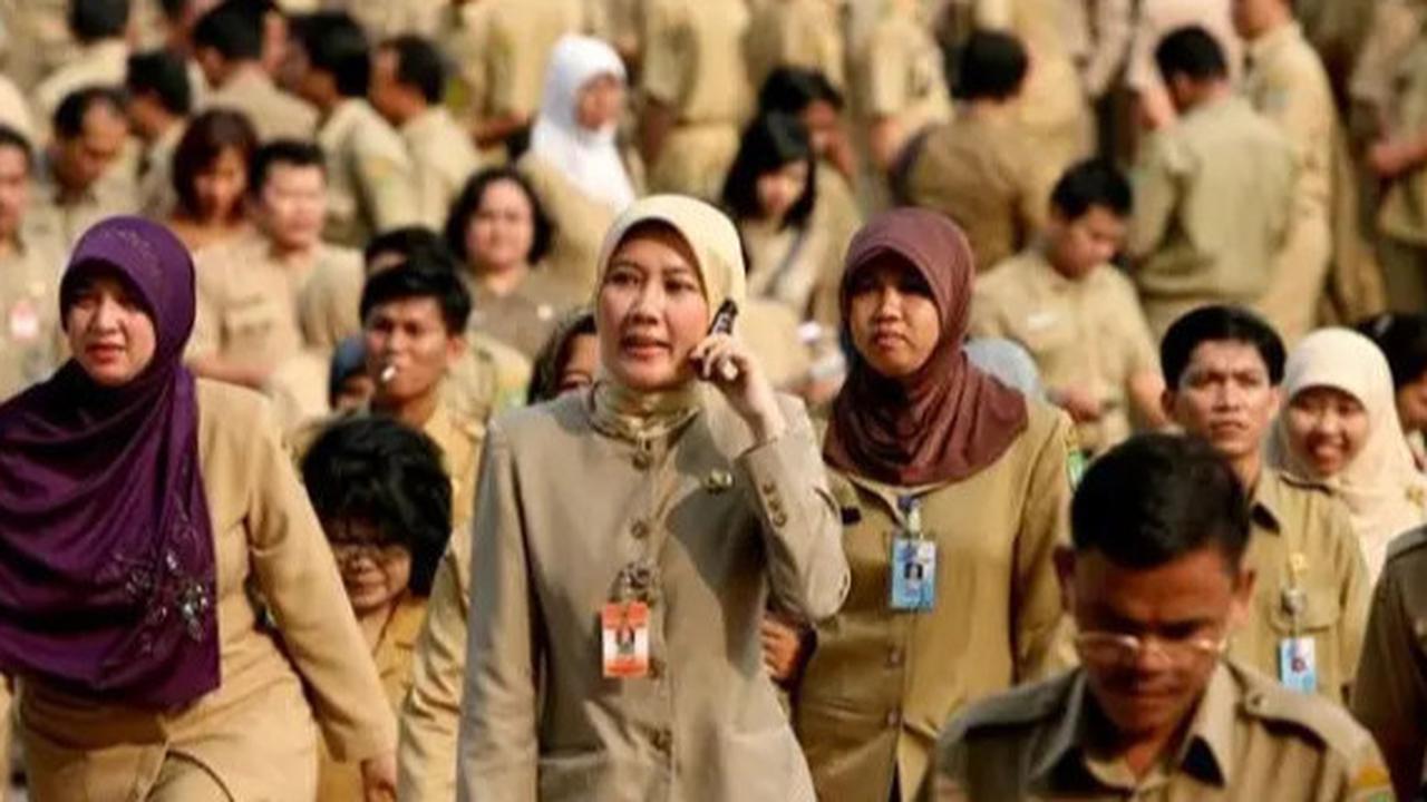Kabar Gembira, Tenaga Honorer Diangkat Jadi PPPK Jadi Fokus KemenPAN-RB