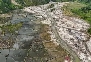 Foto udara sawah terdampak bencana. (AntaraFoto/Raisan Al Farisi)