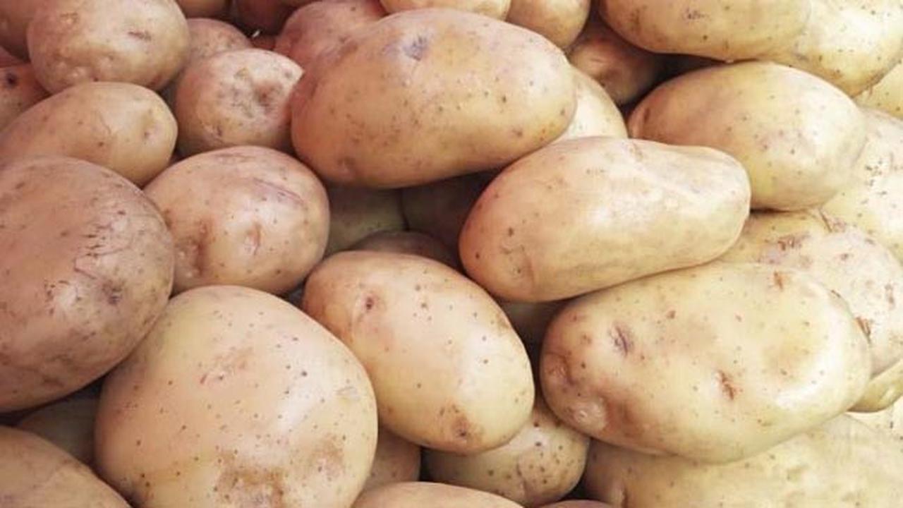 Waspadai, Kentang yang Disimpan Bisa Membunuh