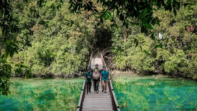 Lindungi Ubur-ubur Tak Menyengat, Danau Kakaban di Derawan Akan Jadi Zona Dilarang Berenang