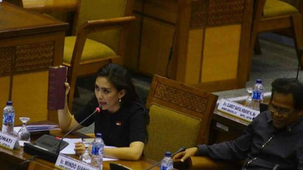 Tugas DPR hanya pengawasan dan anggaran