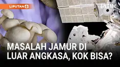 Jamur menjadi salah satu masalah terbesar bagi astronot yang bertugas di Stasiun Luar Angkasa Internasional (ISS).
