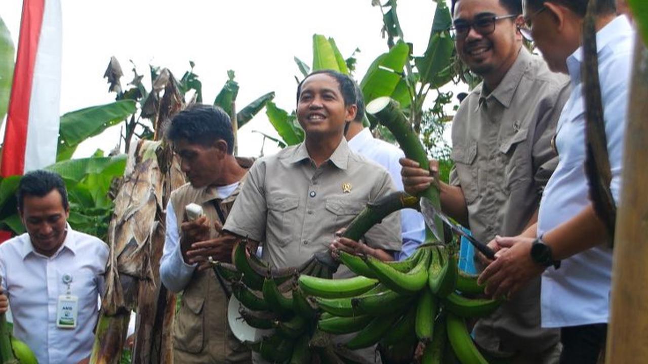 Ini Salah Satu Pemasok Bahan Pangan Program Makan Bergizi Gratis