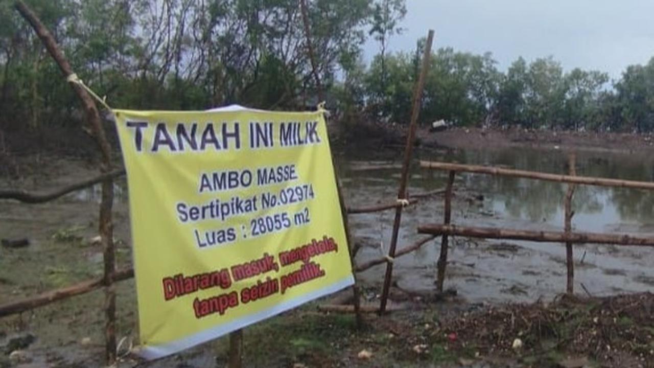 Lahan Mangrove Kuri Lompo