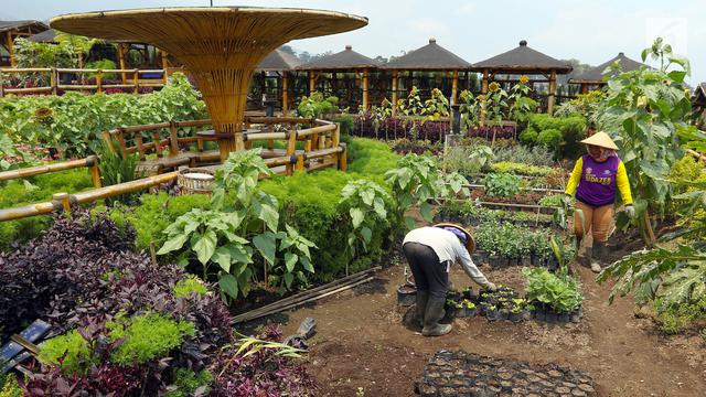 OJK Dorong Optimalisasi Peran Badan Usaha Milik Desa