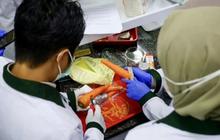 Karantina dan BBPOM Perkuat Keamanan Sumber Daya Hayati Kalsel Melalui Peningkatan Kompetensi