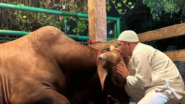 Irfan Hakim dan sapi kurbannya, Wariso. (Instagram/ irfanhakim75)