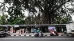 Kendaraan melintas di pasar hewan Barito, Kebayoran Lama, Jakarta, Selasa (25/10/2022). Sebanyak 85 kios kini telah memiliki 'wajah baru' dengan tempat yang higienis, mengutamakan estetika, dan suasana tenang sehingga para pembeli maupun penjual bisa merasa nyaman saat melakukan transaksi. (Liputan6.com/Johan Tallo)
