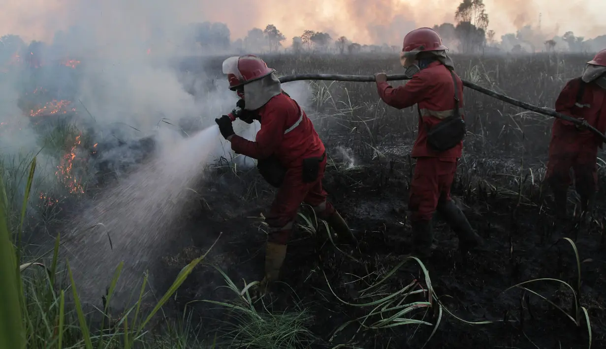 Petugas pemadam kebakaran membawa peralatan mereka saat berupaya memadamkan kebakaran lahan gambut di Palembang, Sumatra Selatan, Indonesia, Selasa, 11 Agustus 2026. (Foto AP/Muhammad Hatta)