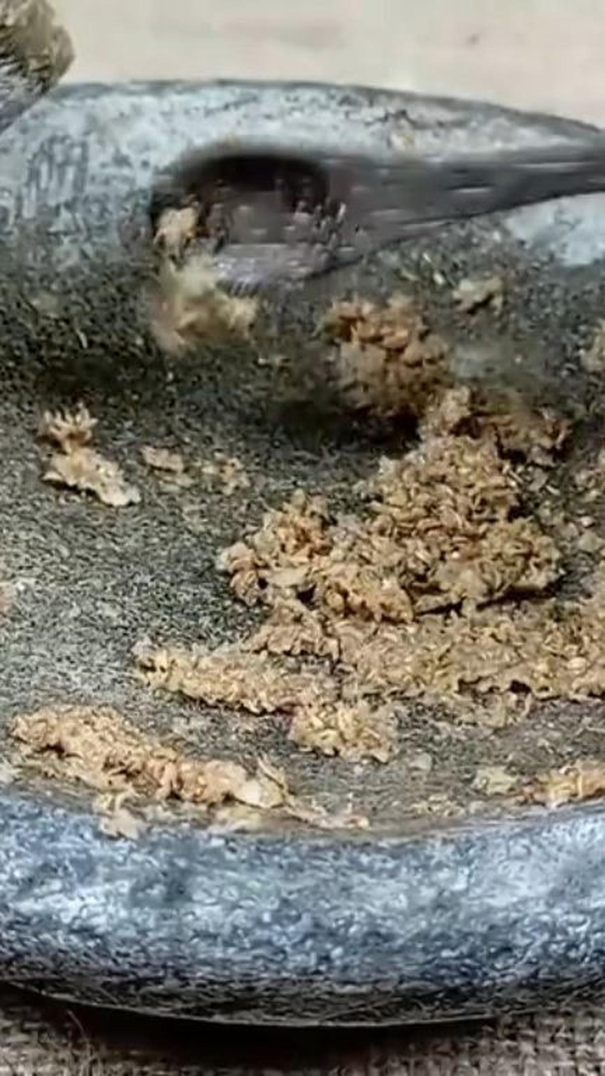 Haluskan Bumbu