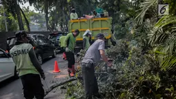 Petugas pertamanan DKI Jakarta membersihkan pohon usai dipangkas di Jalan Sutan Syahrir, Jakarta, Kamis (15/8/2019). Pemangkasan pohon tersebut dilakukan untuk menghidari pohon tumbang yang diakibatkan oleh angin dan hujan lebat saat musim penghujan tiba. (Liputan6.com/Faizal Fanani)