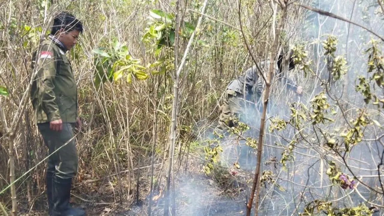 TN Way Kambas terbakar