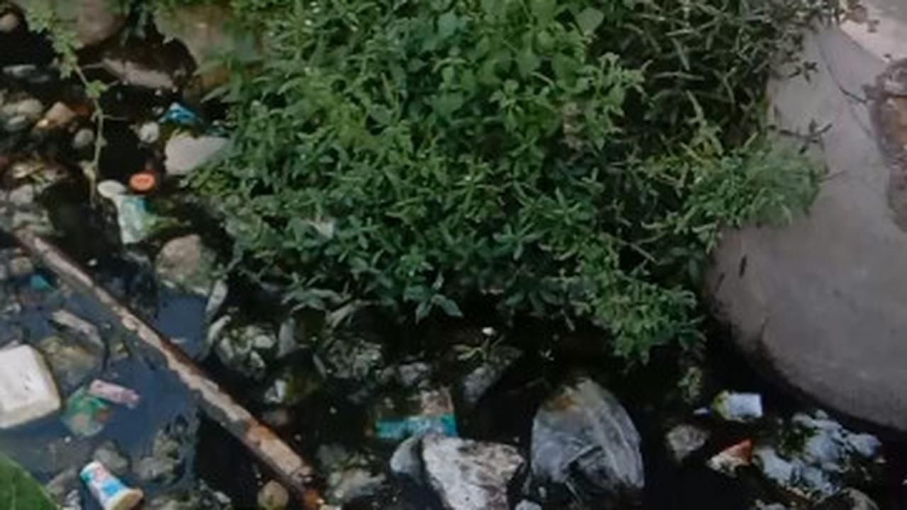 Para Bocah Kompak Bersihkan Selokan di Tepi Jalanan, Aksinya Banjir Pujian