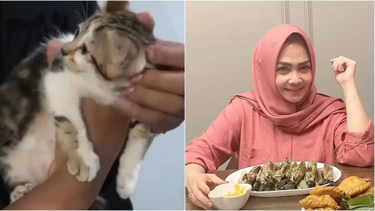 Potret Kucing Bercorak Manusia Milik Rieta Amilia