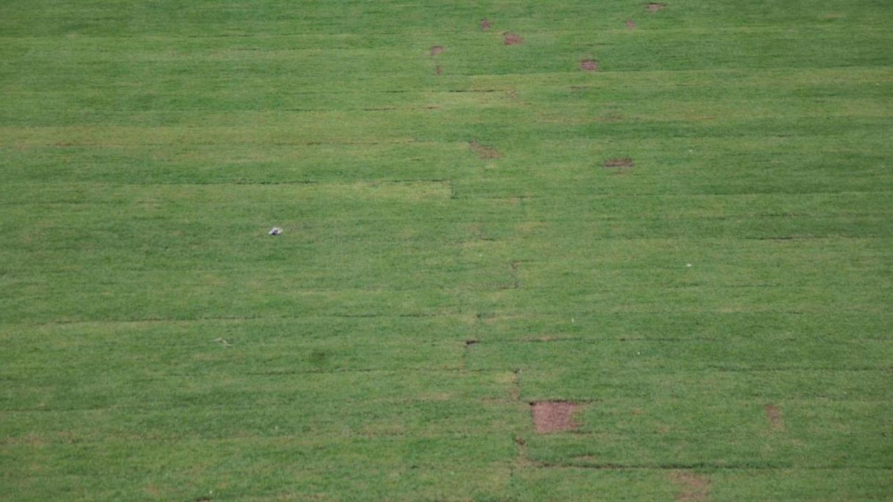 Di antaranya rumput alami, sintetis, hybrid alami, dan hybrid sintetis.