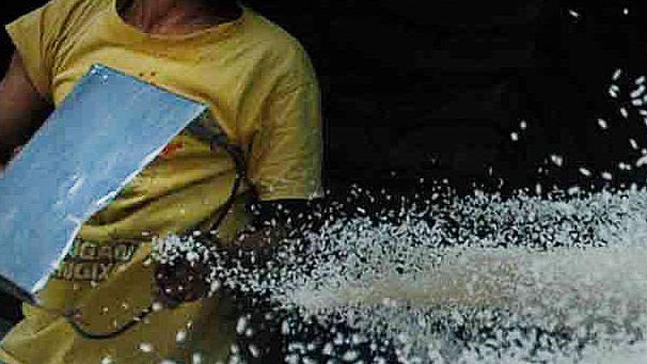 Data BPS: Harga Beras Naik 20 Persen, Kualitas Medium Dijual Rp14.162 per Kg