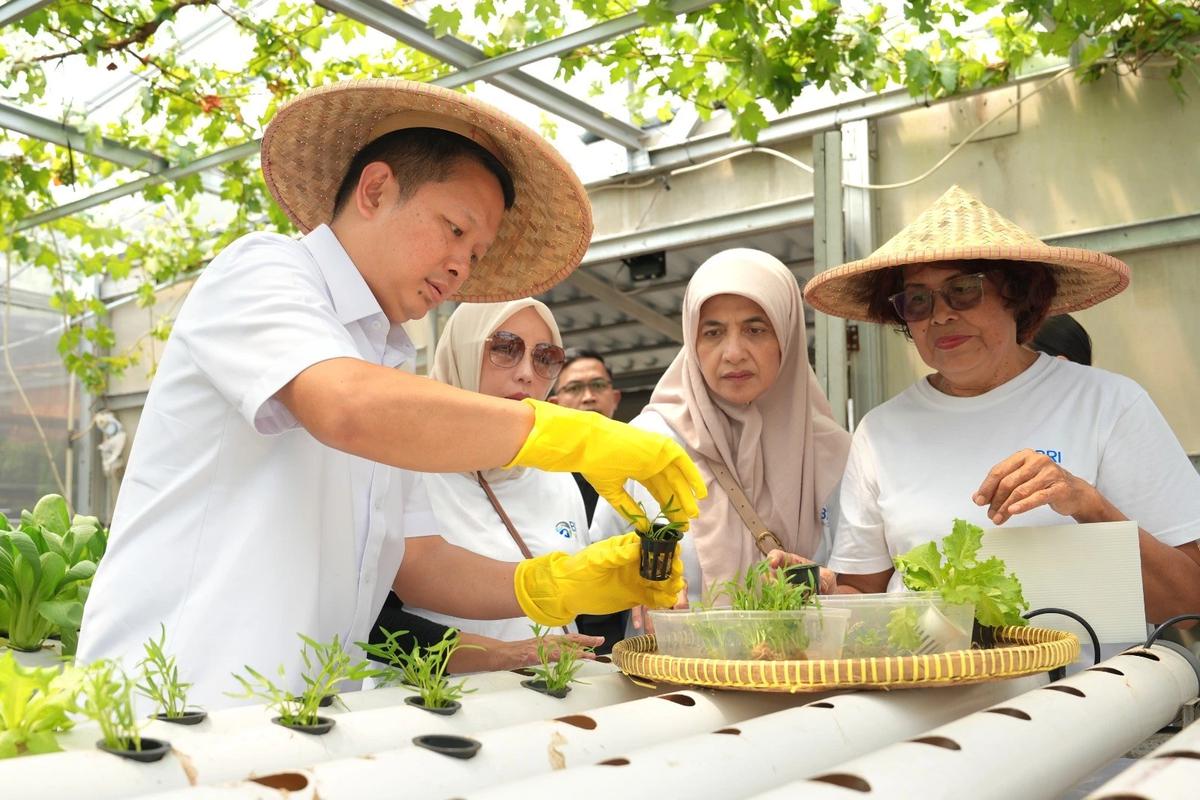 Kisah Inspiratif KWT Buaran Citra Lestari Manfaatkan Lahan Sempit untuk Tanaman Produktif