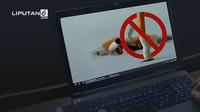 Banner Infografis Pro-Kontra Larangan Iklan Rokok di Internet. (Liputan6.com/Abdillah)